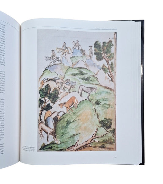 María Serrera, Ramón.- TRÁFICO TERRESTRE Y RED VIAL EN LAS INDIAS ESPAÑOLAS