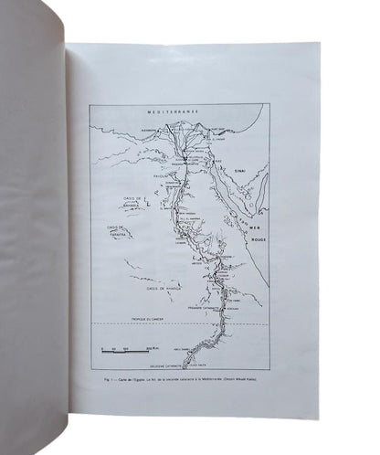 Leblanc, Christian.- TA SET NEFEROU 1.- GÉOGRAPHIE. TOPONYMIE. HISTORIQUE DE L'EXPLORATION SCIENTIFIQUE DU SITE