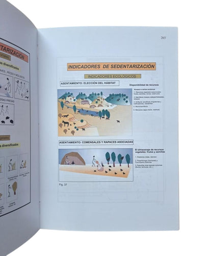 Poyato Holgado, Mª del Carmen.- EL NATUFIENSE DEL MEDITERRÁNEO ORIENTAL