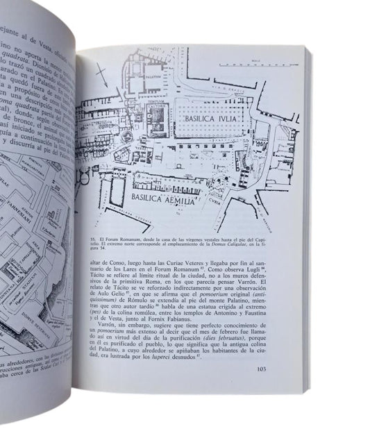 Rykwert, Joseph.- LA IDEA DE CIUDAD. ANTROPOLOGÍA DE LA FORMA URBANA EN EL MUNDO ANTIGUO