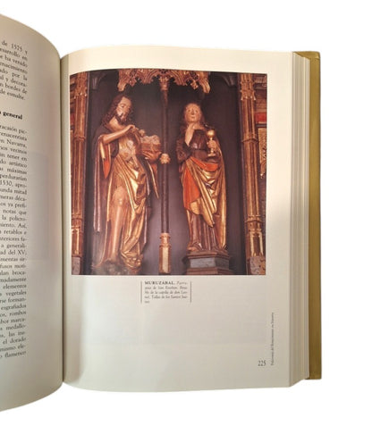 Echeverría Goñi, Pedro.- POLICROMÍA DEL RENACIMIENTO EN NAVARRA