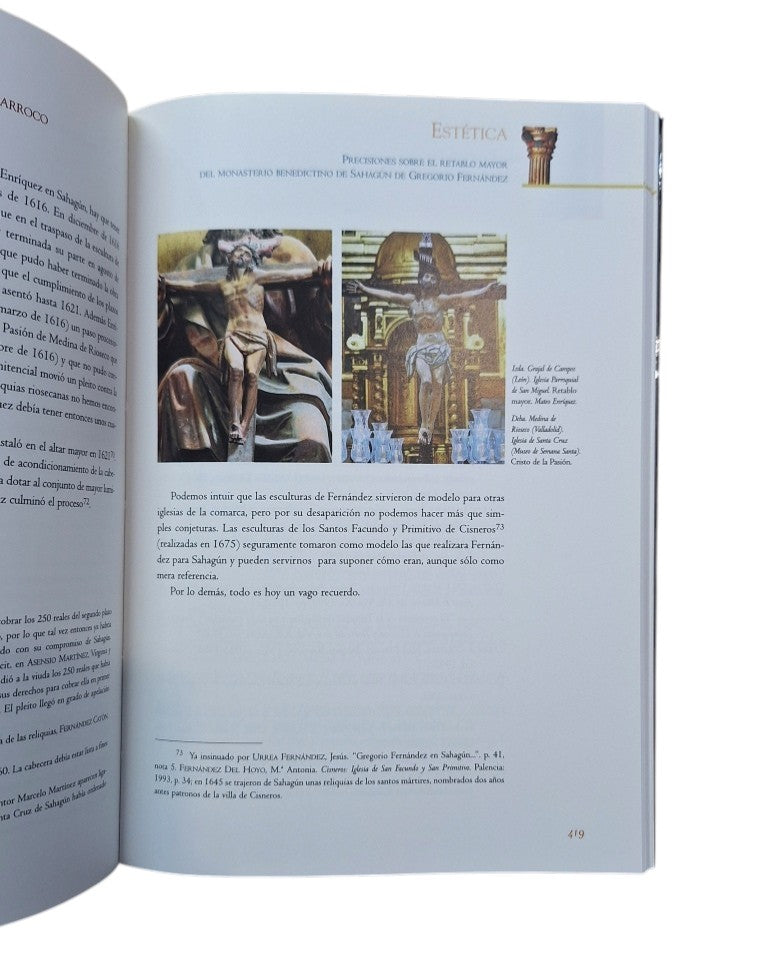 Alonso Ponga, J. L. & Panero García, P. (Coord).- GREGORIO FERNÁNDEZ: ANTROPOLOGÍA, HISTORIA Y ESTÉTICA EN EL BARROCO