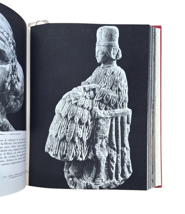 Parrot. André.- SUMER