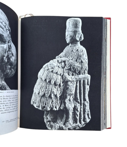 Parrot. André.- SUMER