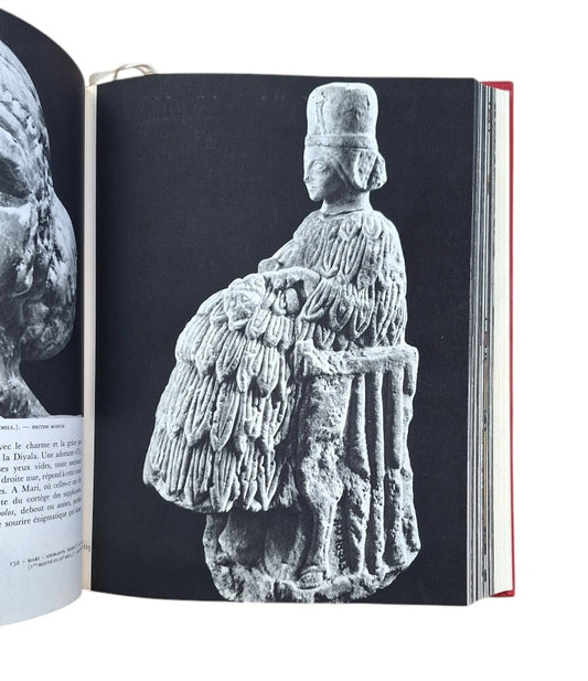 Parrot. André.- SUMER