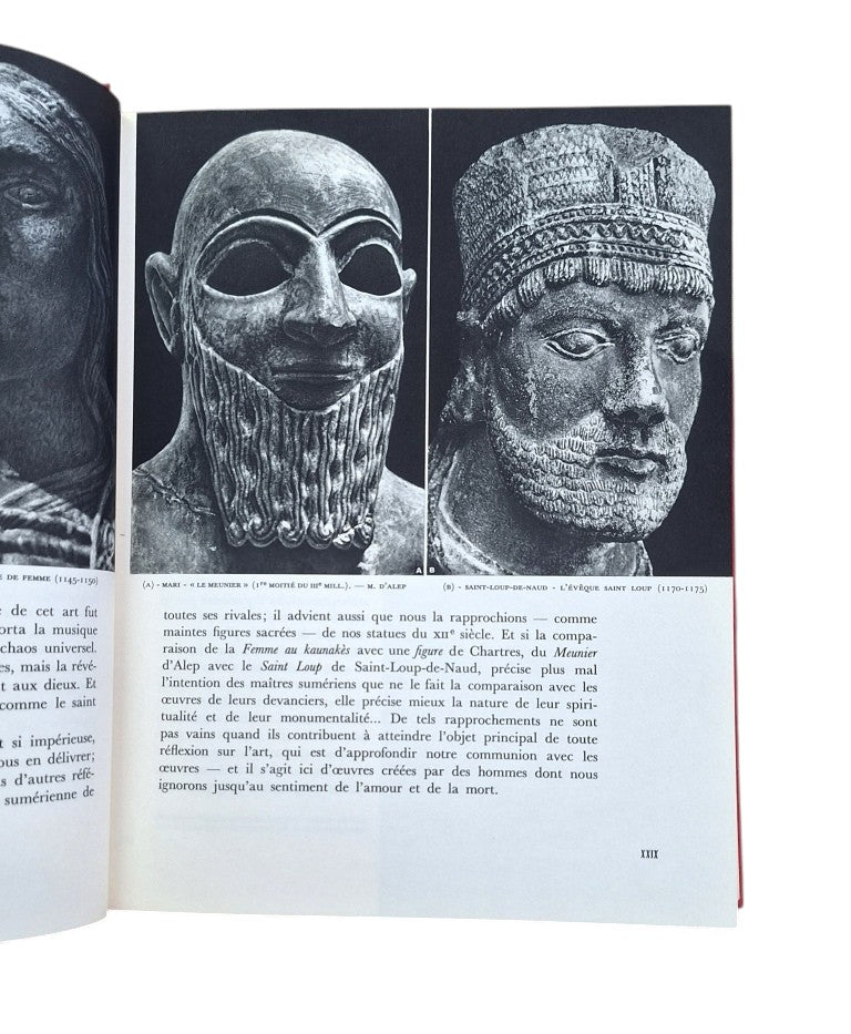 Parrot. André.- SUMER