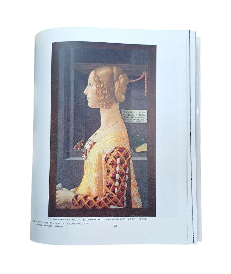 Chastel, André.- ITALIA 1460-1500. EL RENACIMIENTO MERIDIONAL