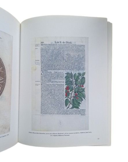 VV.AA.- CRISTÓBAL PLANTINO. UN SIGLO DE INTERCAMBIOS CULTURALES ENTRE AMBERES Y MADRID