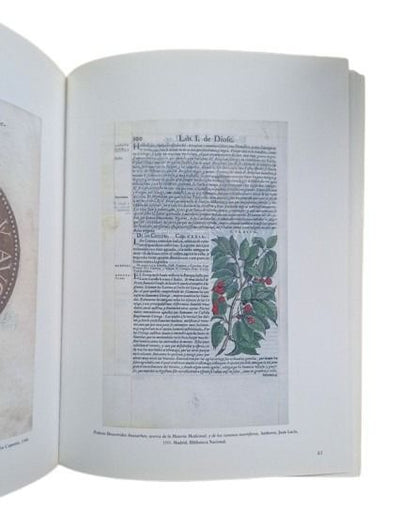 VV.AA.- CRISTÓBAL PLANTINO. UN SIGLO DE INTERCAMBIOS CULTURALES ENTRE AMBERES Y MADRID