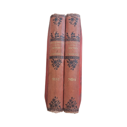 Muñiz y Terrones, José.- CONCEPTO DEL MANDO Y DEBER DE LA OBEDIENCIA (CARTAS A ALFONSO XIII) I-II