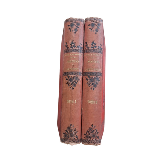 Muñiz y Terrones, José.- CONCEPTO DEL MANDO Y DEBER DE LA OBEDIENCIA (CARTAS A ALFONSO XIII) I-II