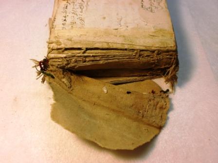RESTAURACIÓN DE UN LIBRO DE REZOS ISLÁMICO (S.XVII)