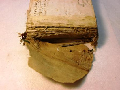 RESTAURACIÓN DE UN LIBRO DE REZOS ISLÁMICO (S.XVII)
