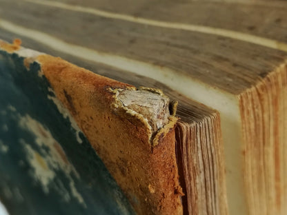 RESTAURACIÓN DE OEDIPUS AEGYPTIACUS.- Athanasius Kircher, Roma, 1652.